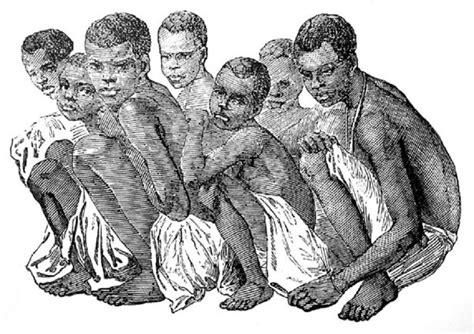 black slave trade porn